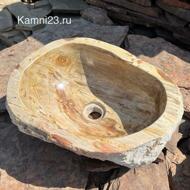 Раковина из окаменелого дерева 25 кг