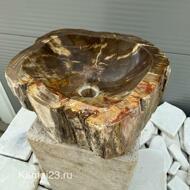 Раковина из окаменелого дерева 27 кг